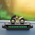 Gadget auto decorativ cu aromaterapie si numar fosforescent
