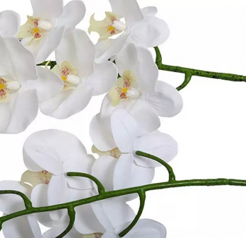 Orhidee decorativa