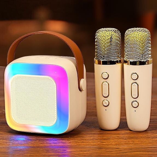 Set karaoke cu boxa si microfoane