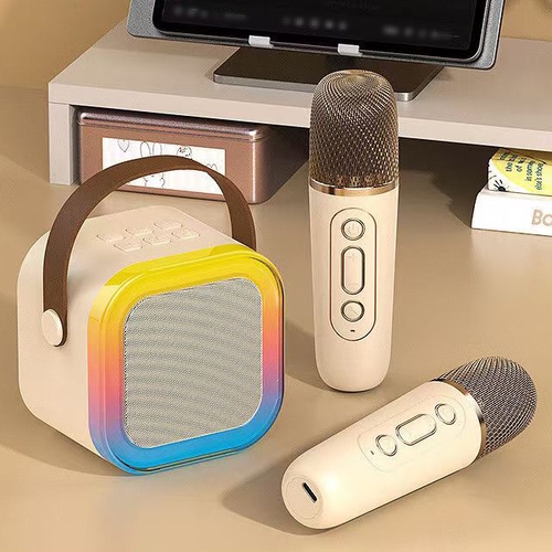 Set karaoke cu doua microfoane