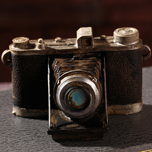 Decoratiune aparat foto